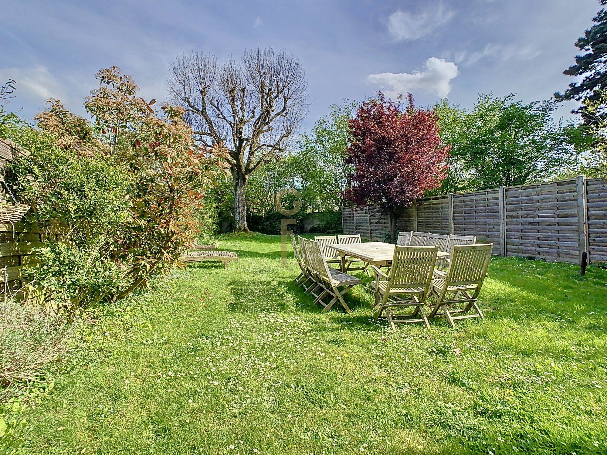 Une photo de l’annonce