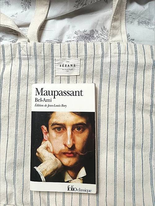 Vends Bel Ami, Maupassant