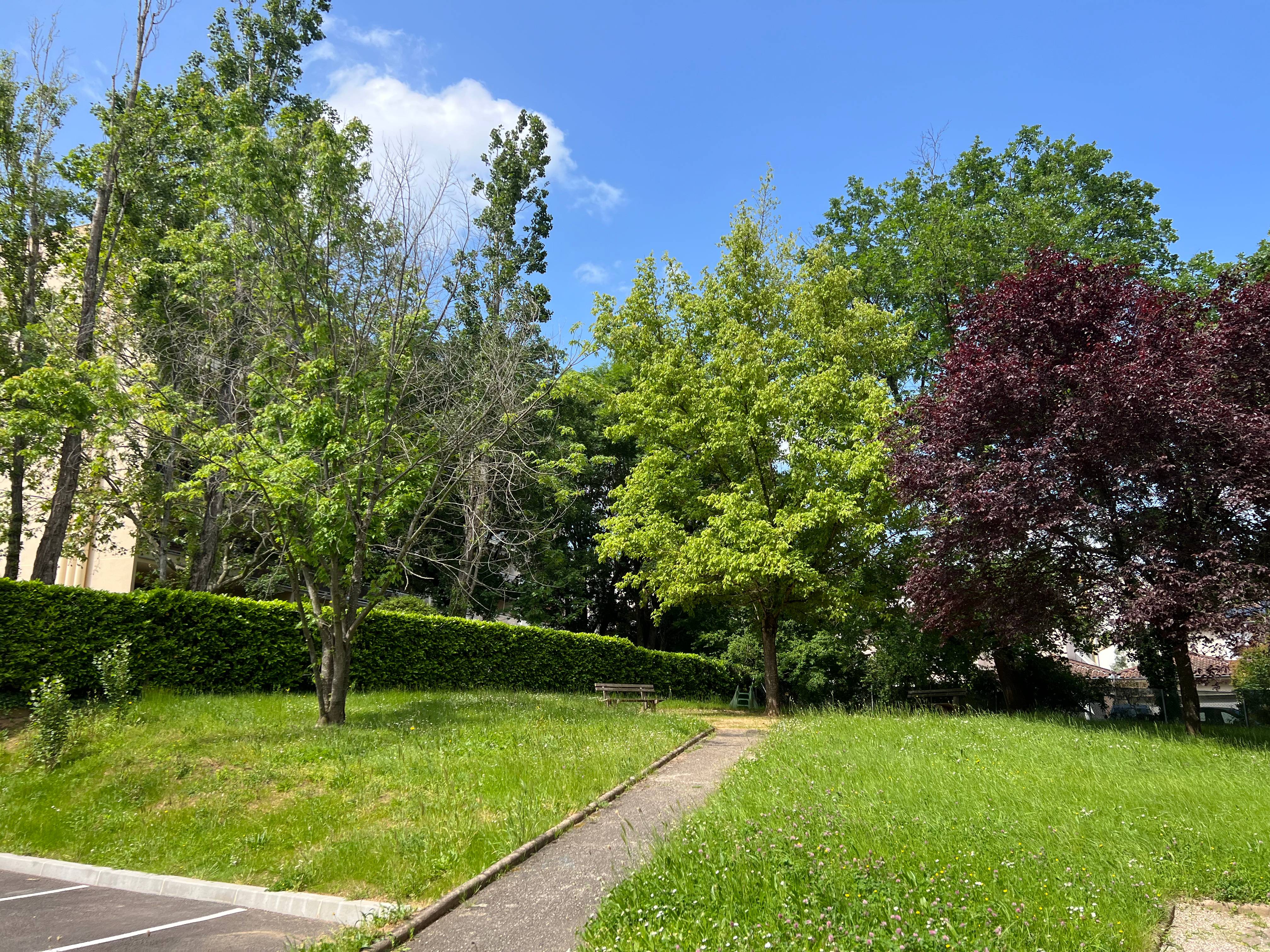 Une photo de l’annonce