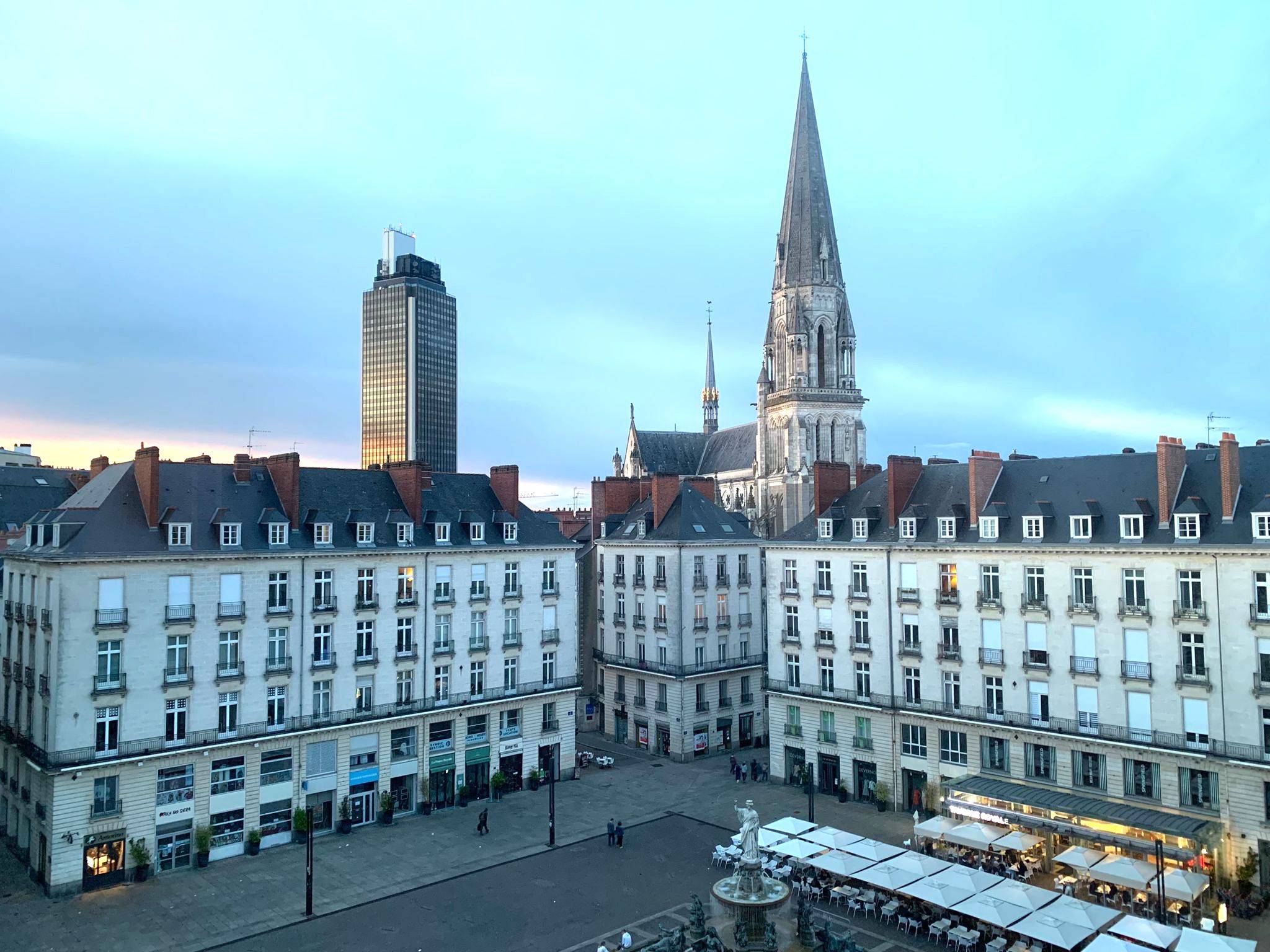 Une photo de l’annonce