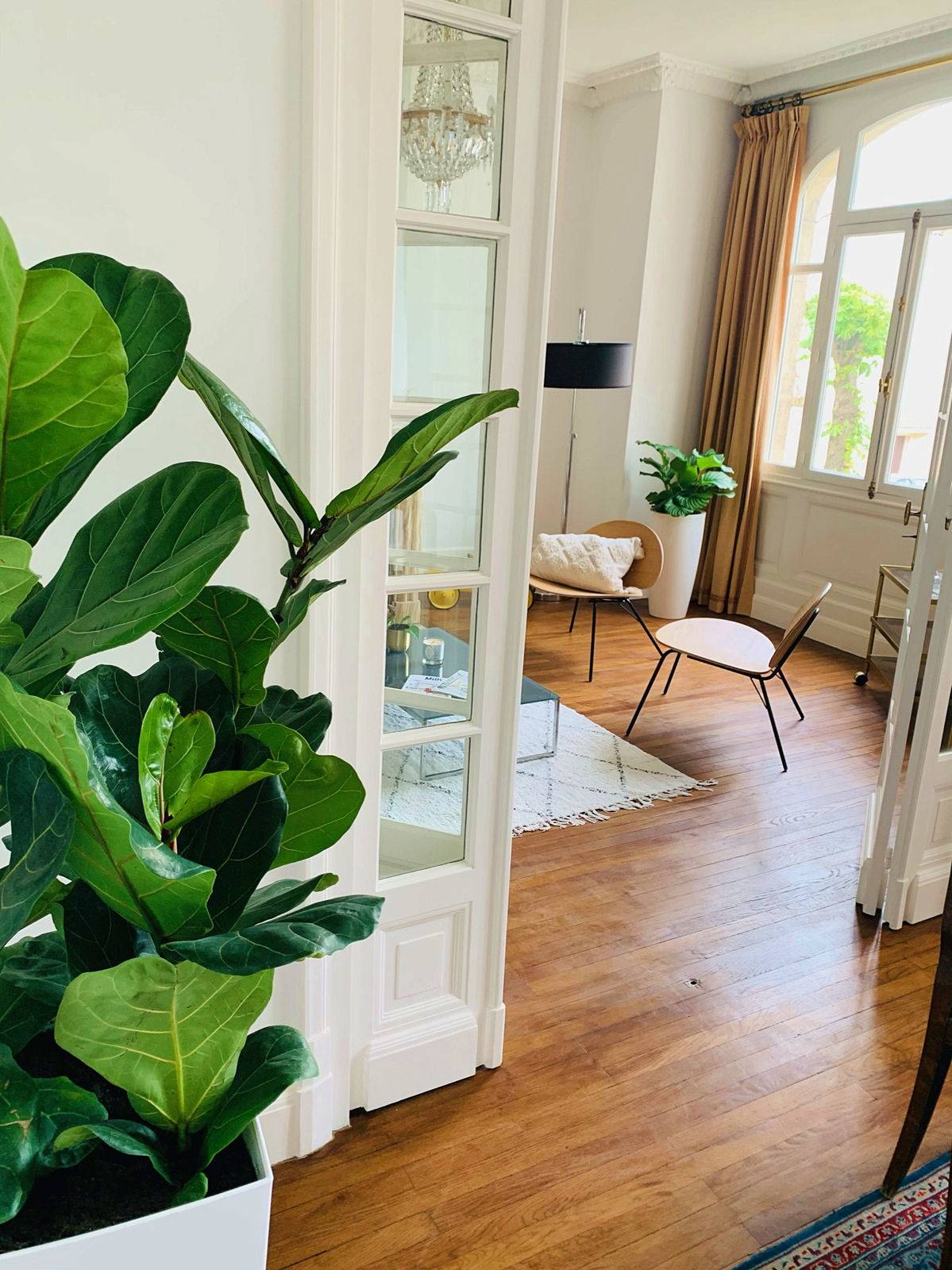 Une photo de l’annonce