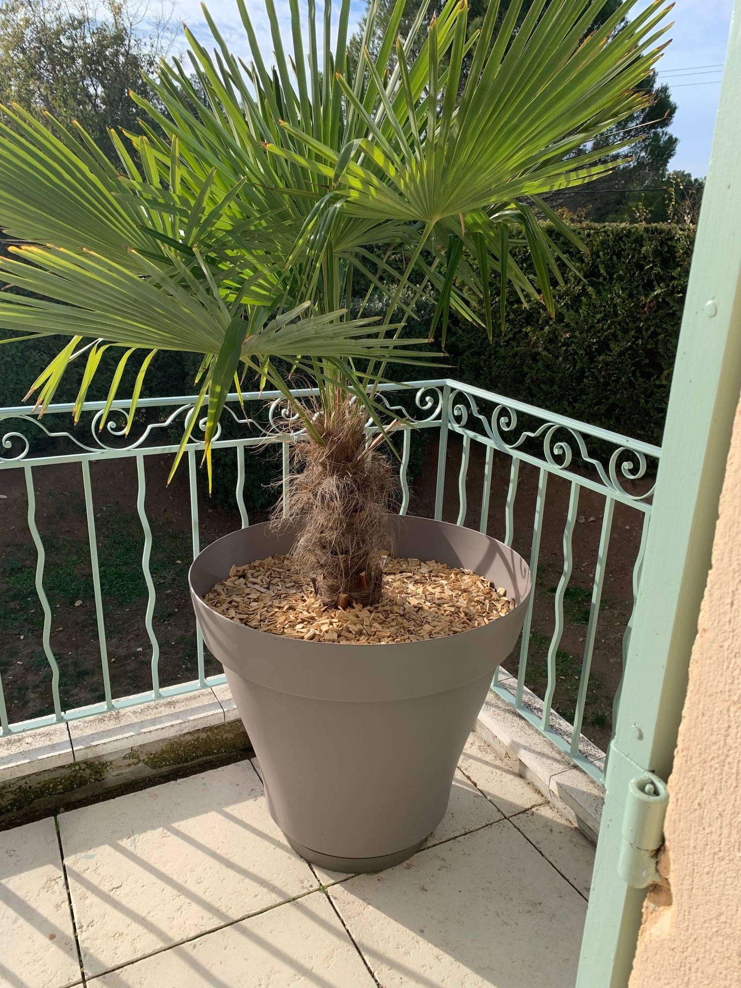 Une photo de l’annonce