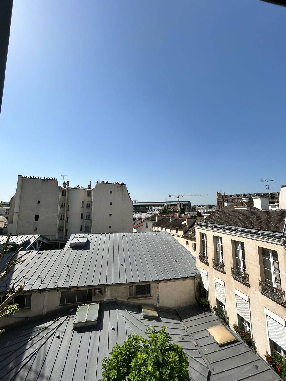 Une photo de l’annonce
