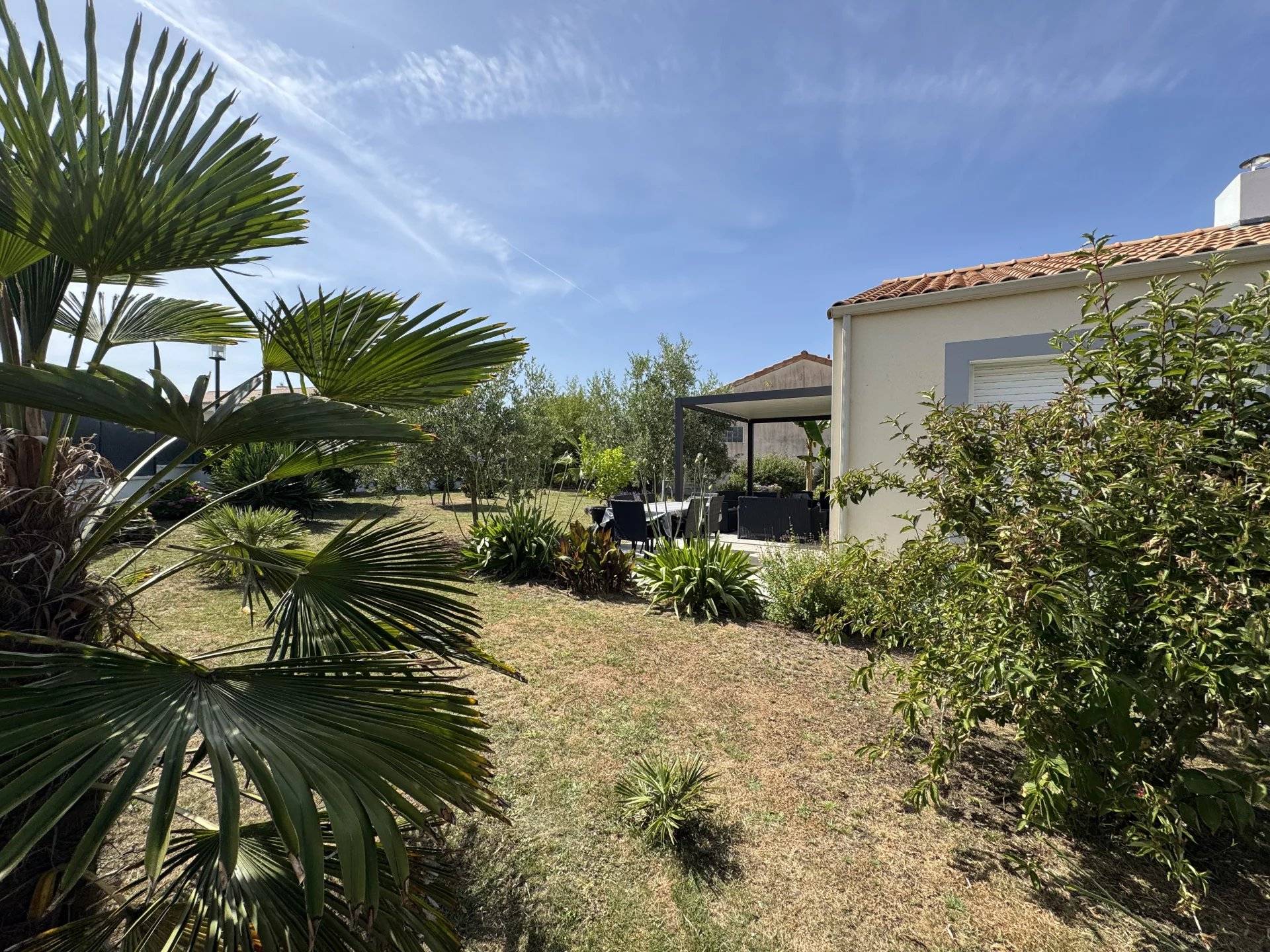 Une photo de l’annonce