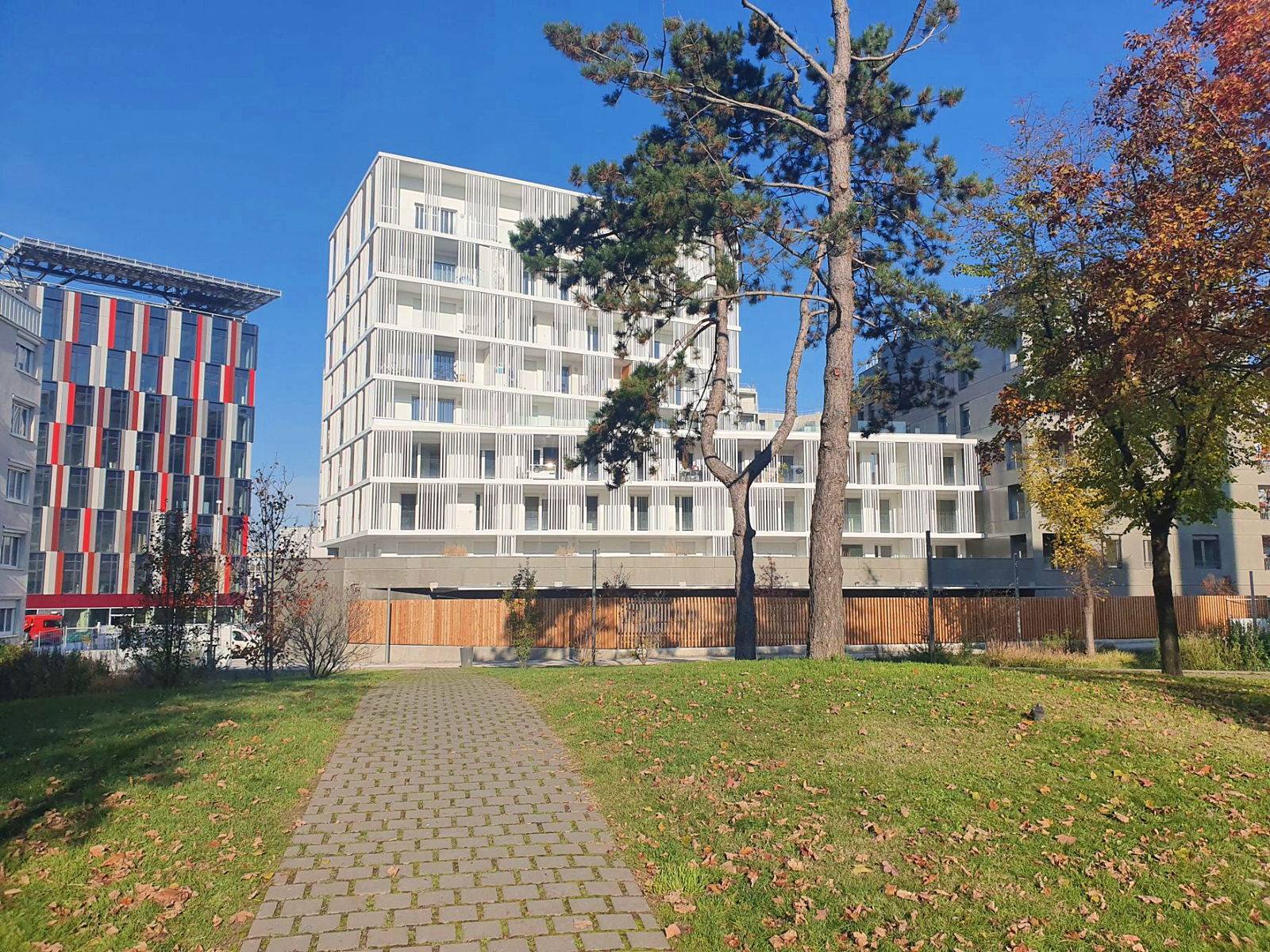 Une photo de l’annonce