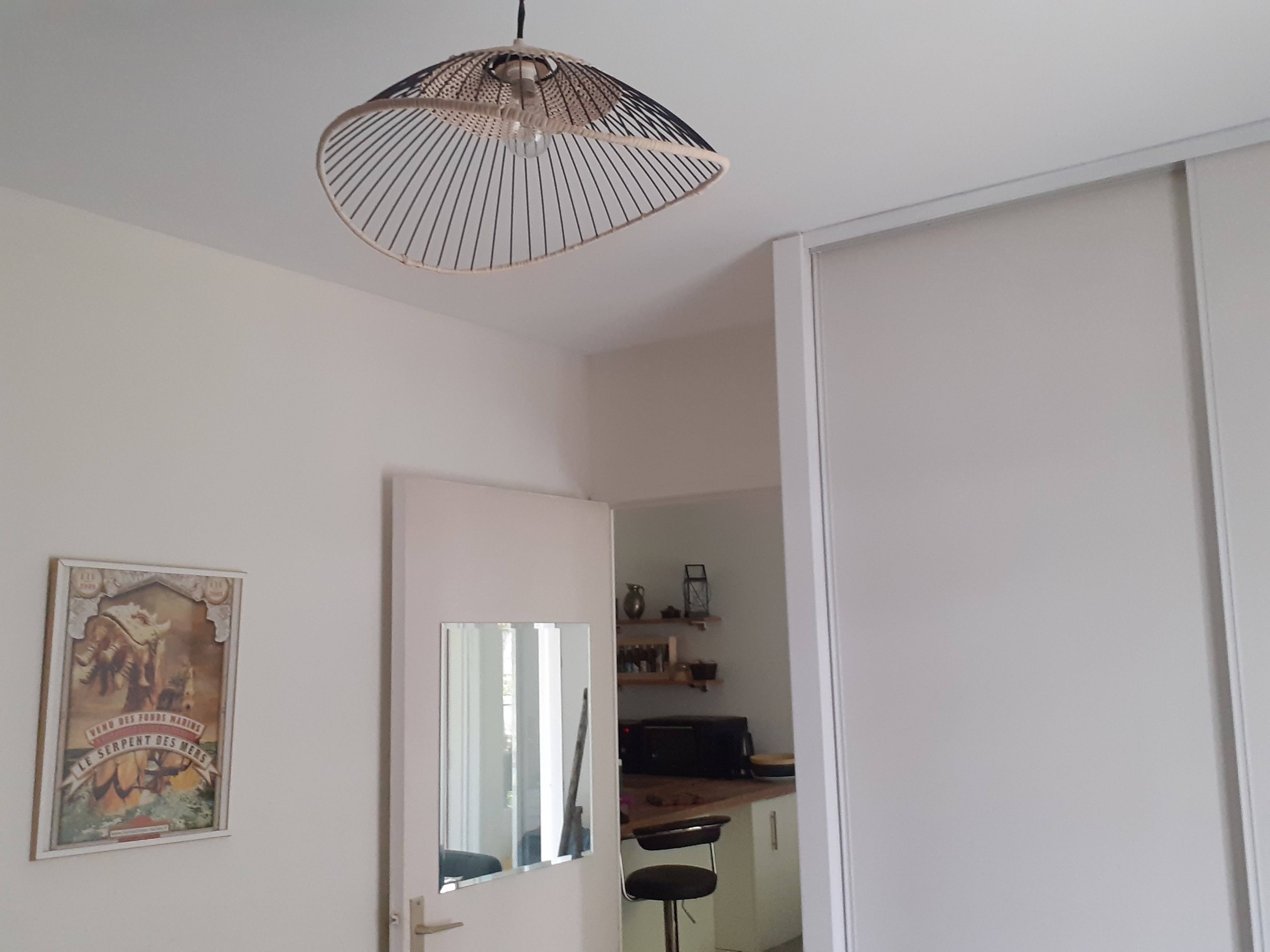 Une photo de l’annonce