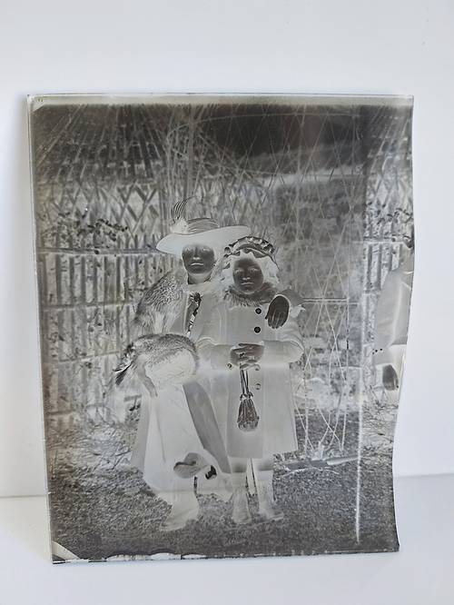 Negatif sur plaque de verre photo ancienne