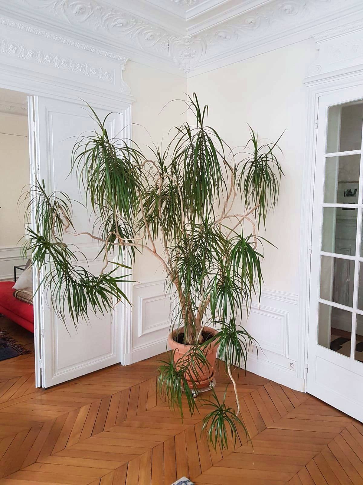 Loue appartement 105m² Neuilly-sur-Seine - Rue de Chartres