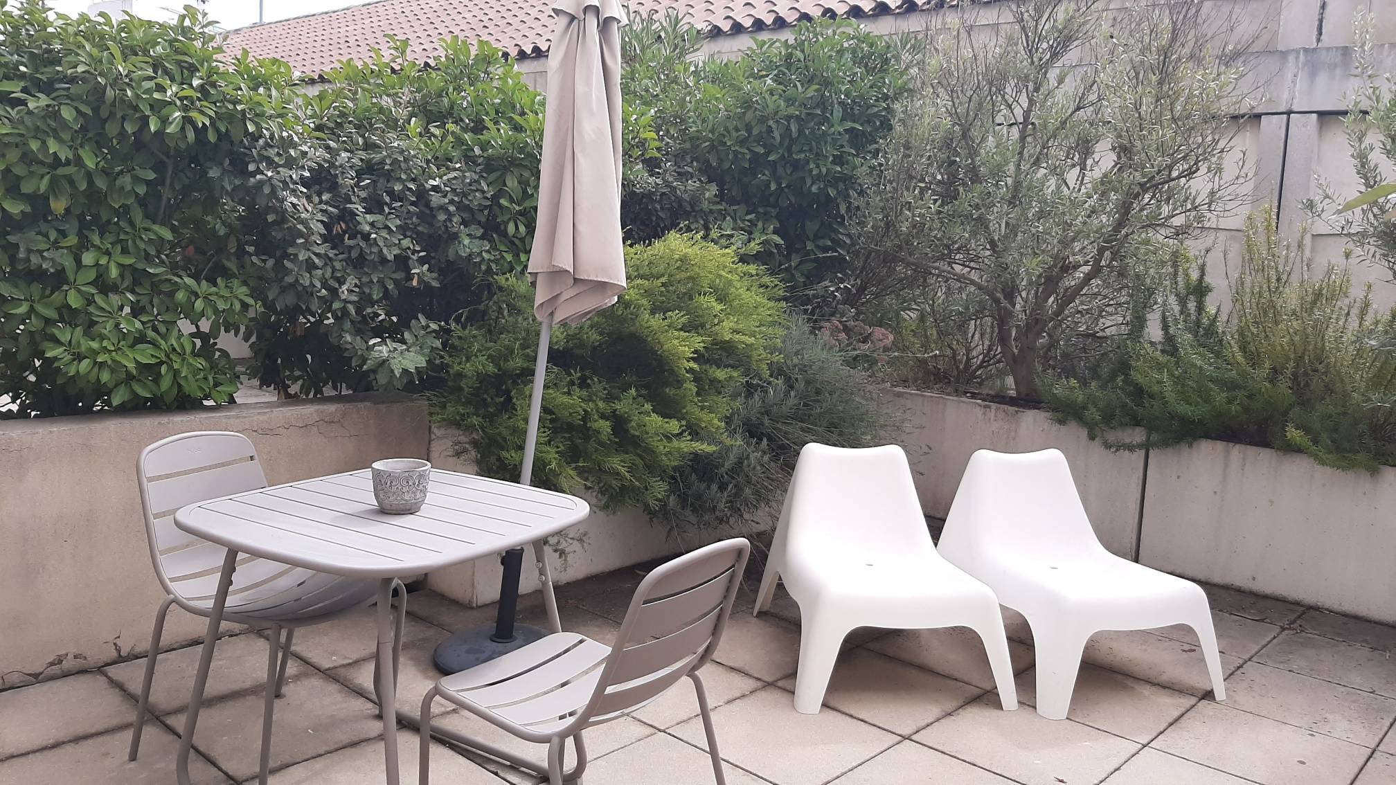 Une photo de l’annonce