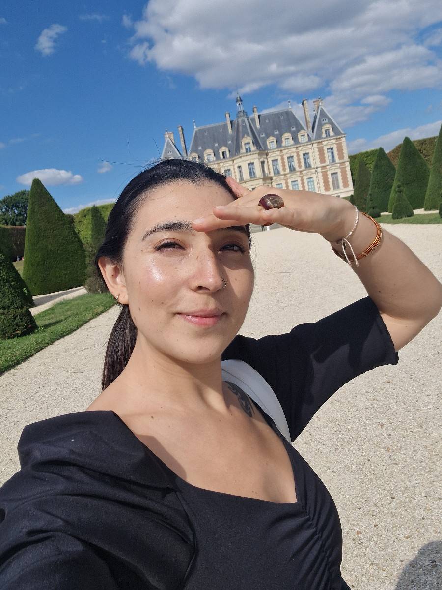 Propose babysitting les soirées à partir de 20h00