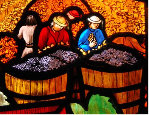 Recrute saisonnier H/F pour vendanges 2026