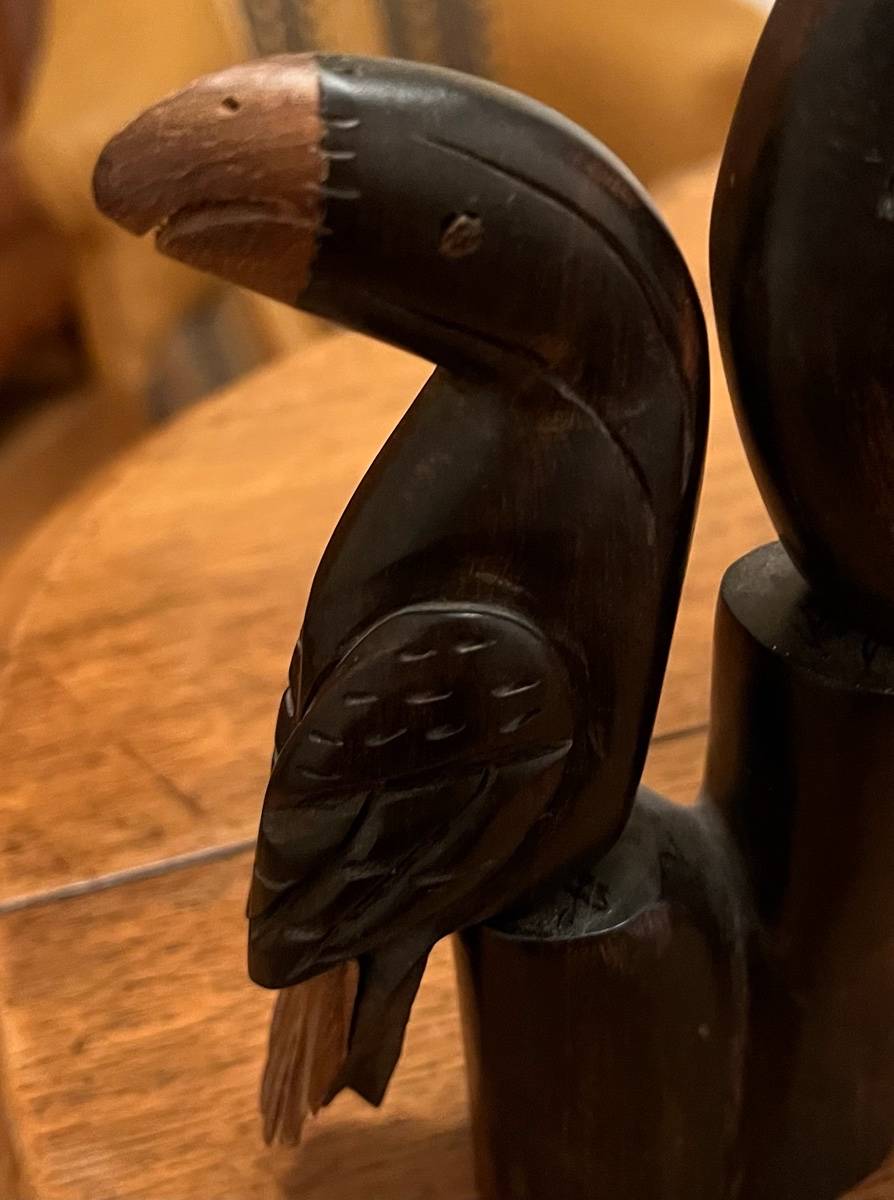 Vends paire de toucans