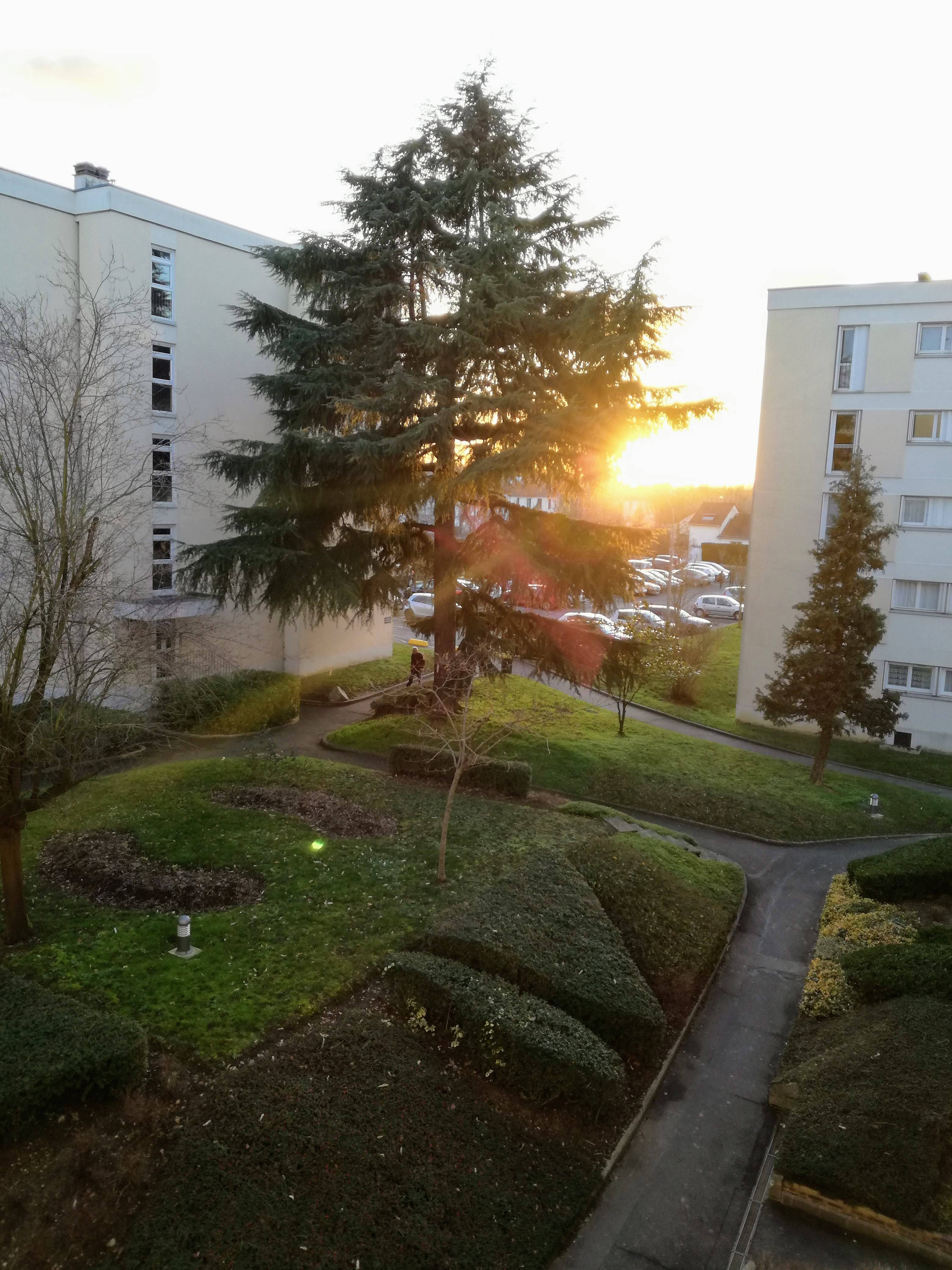 Une photo de l’annonce