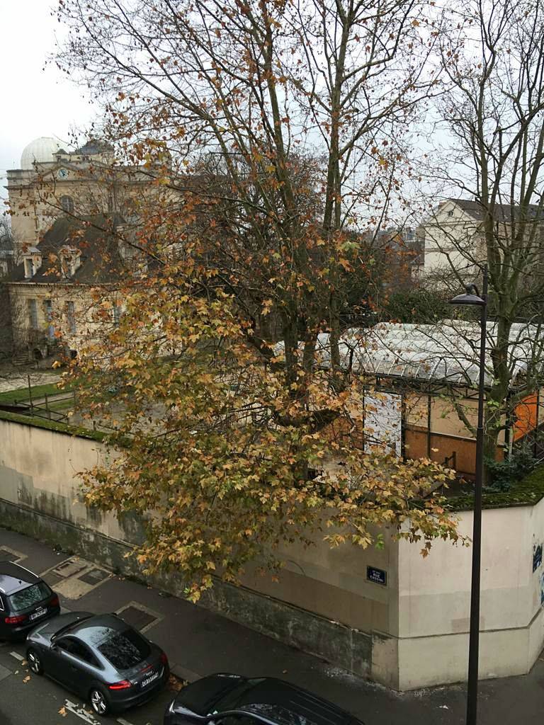 Loue appartement 35m² 1 chambre Paris 14ème vue sur l’Observatoire près du jardin du Luxembourg