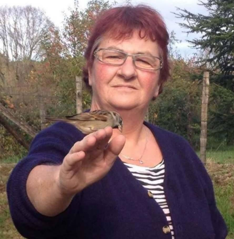 1 2 3 partante ! Propose service auprès de personnes âgées