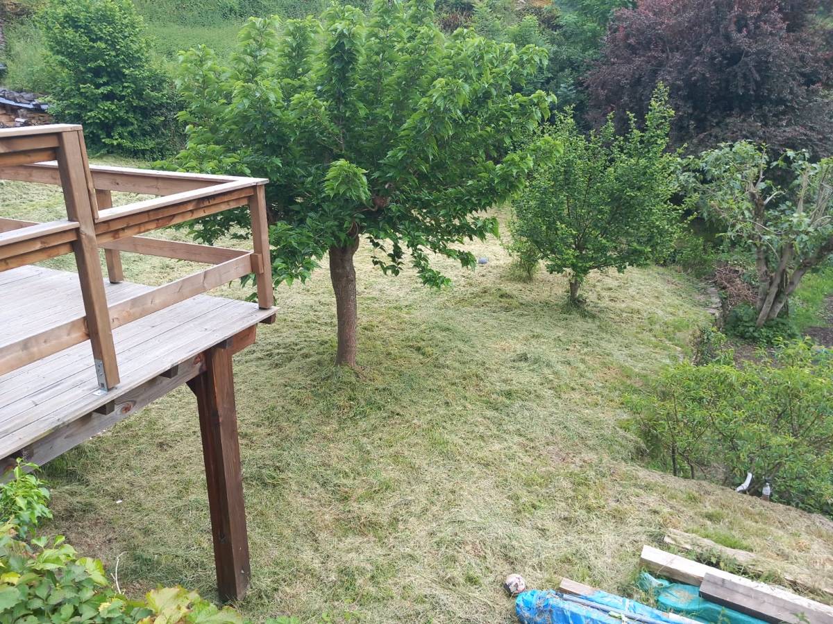 Une photo de l’annonce