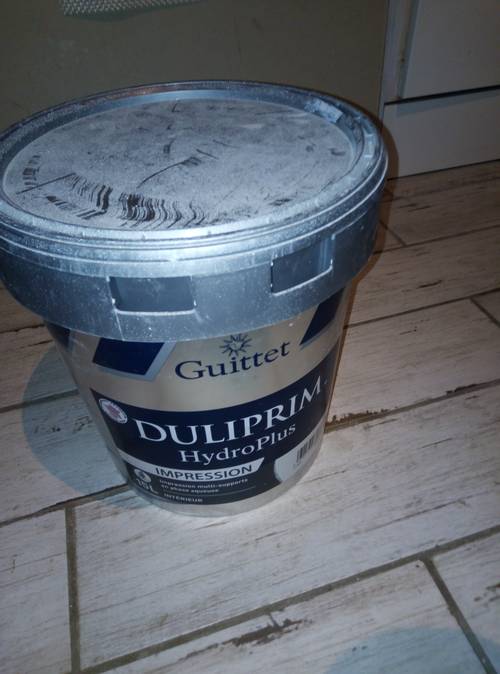 Impression guittet hydroplus "peinture"
