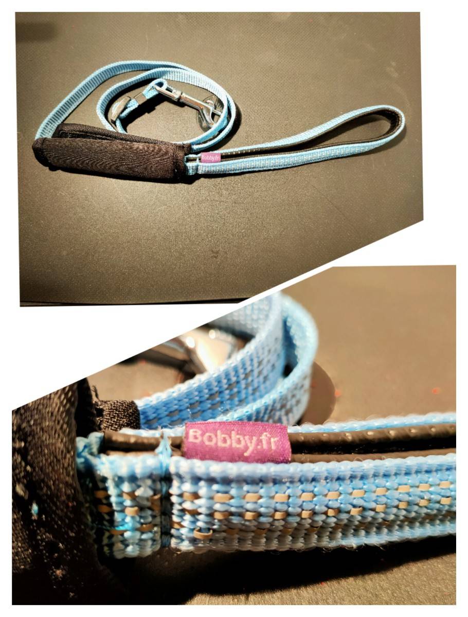Petite laisse bleu  bobby.fr  + sécurité voiture