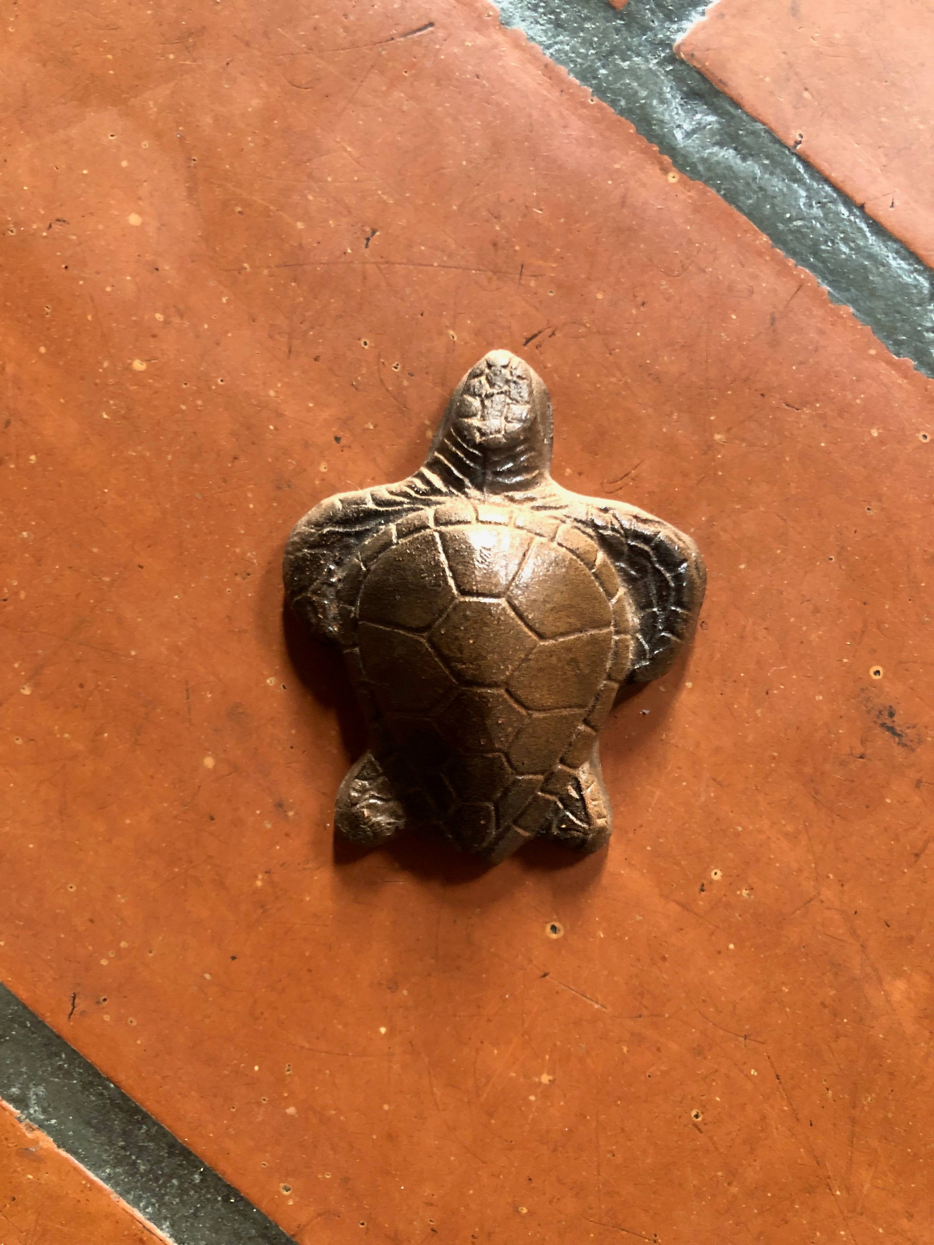 Petite tortue souvenir du CapVert neuve sur Gens de Confiance