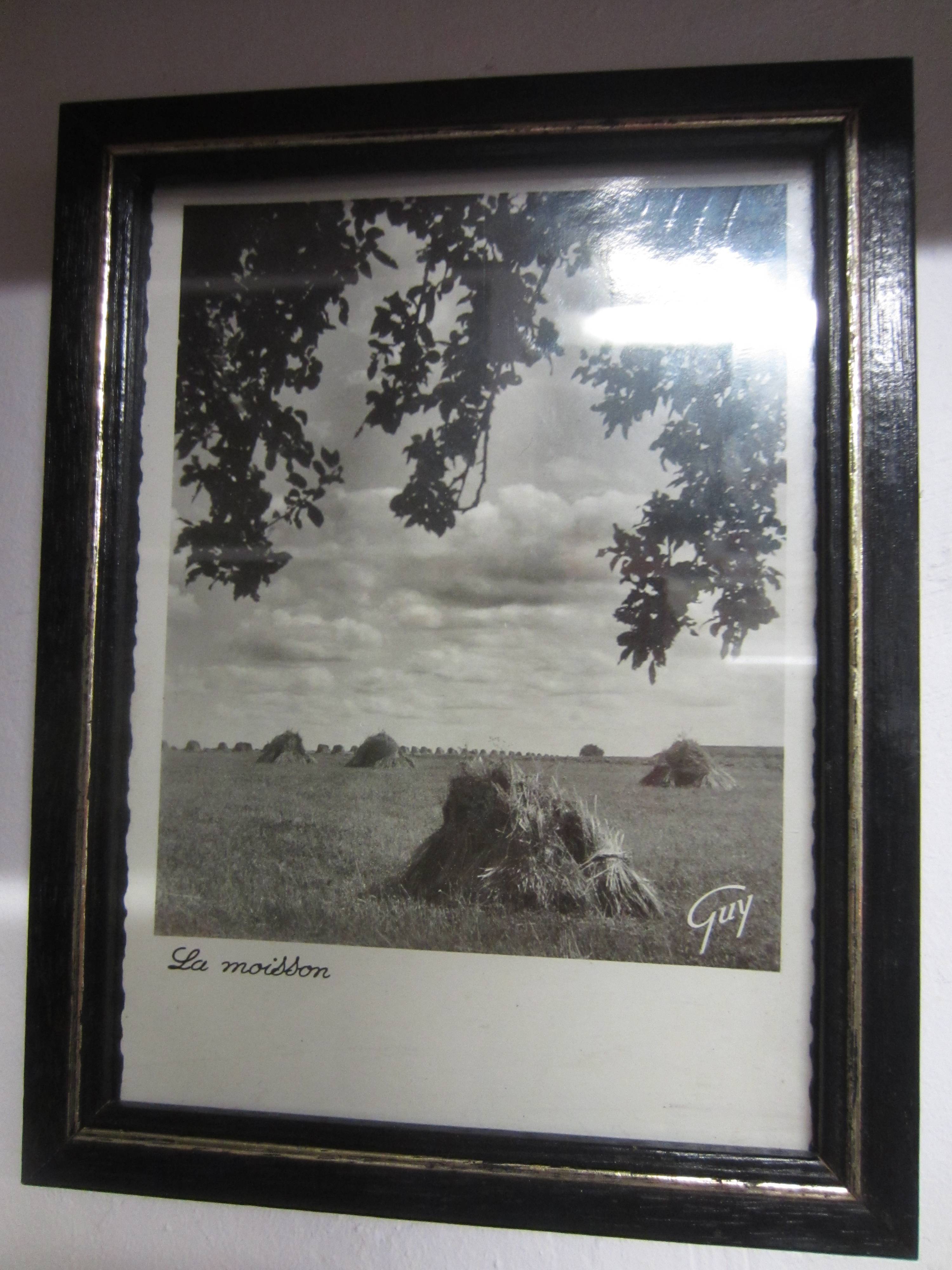 Deux Photos Encadrées Vintage – Chalet De Campagne Et Chats, Effet 3D, 1997