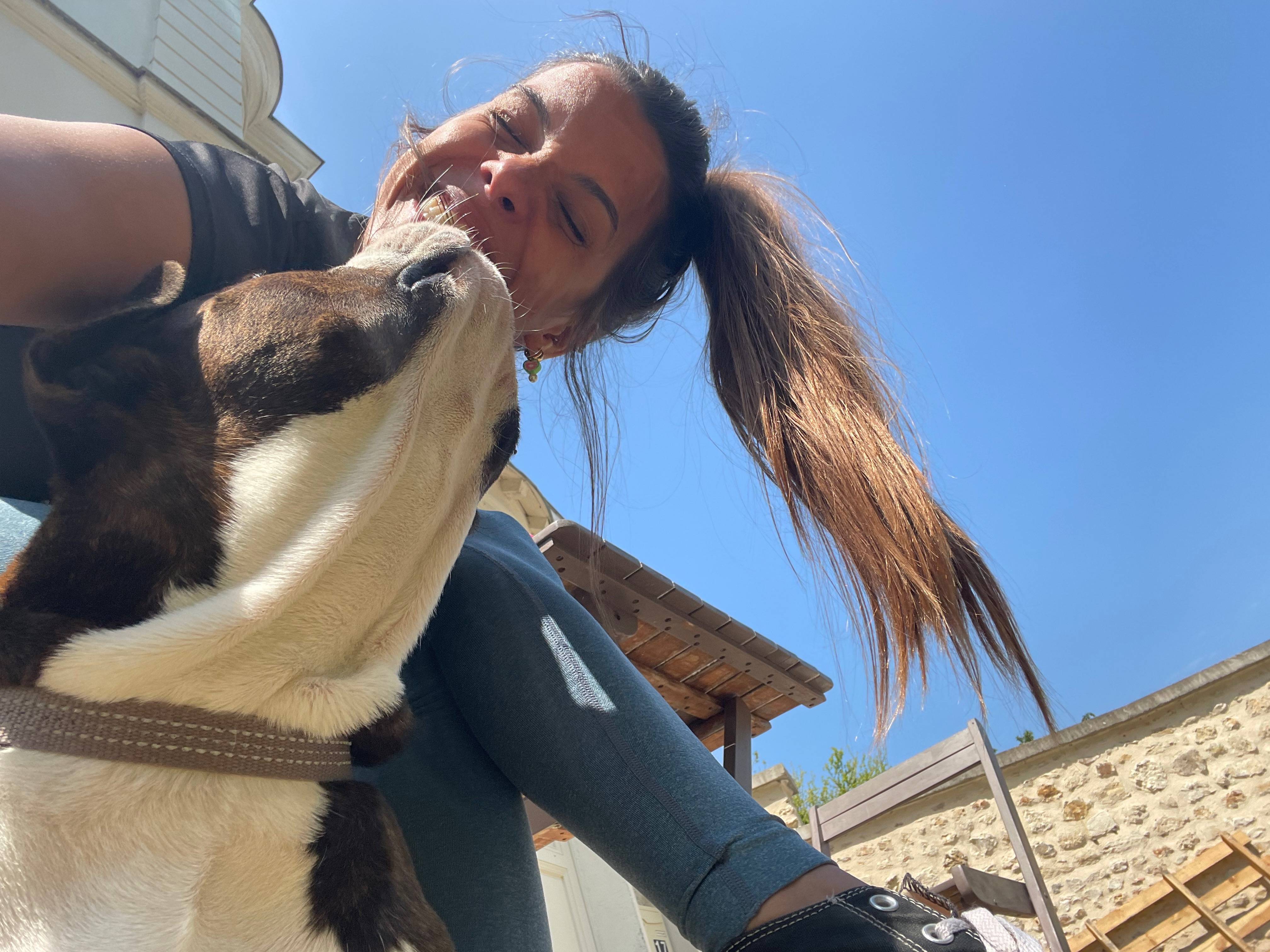 Propose garde de chiens
