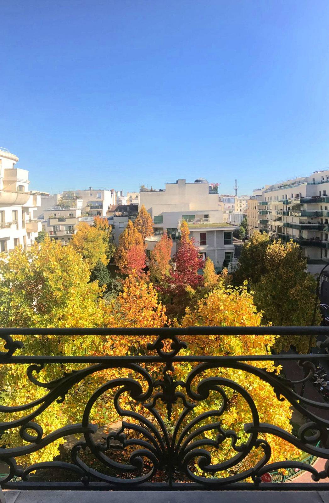 Une photo de l’annonce