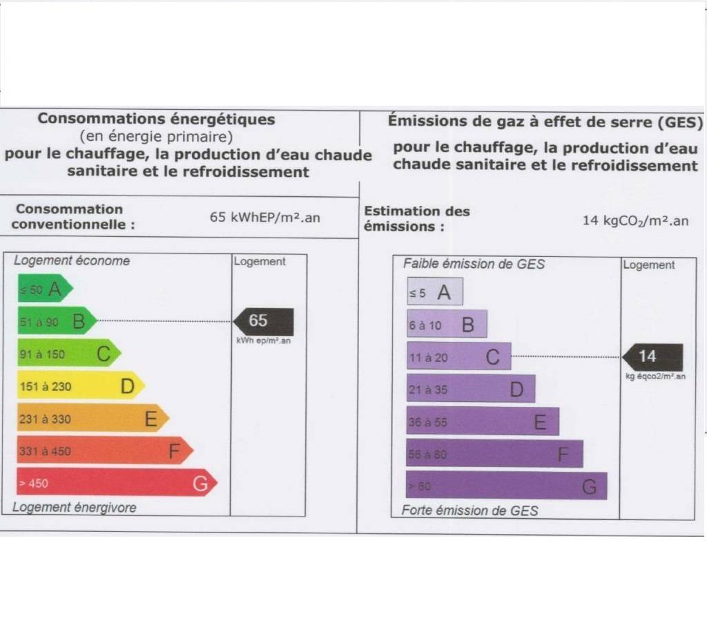 Une photo de l’annonce