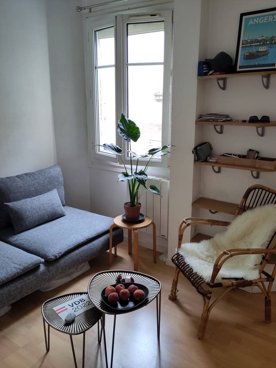 Une photo de l’annonce