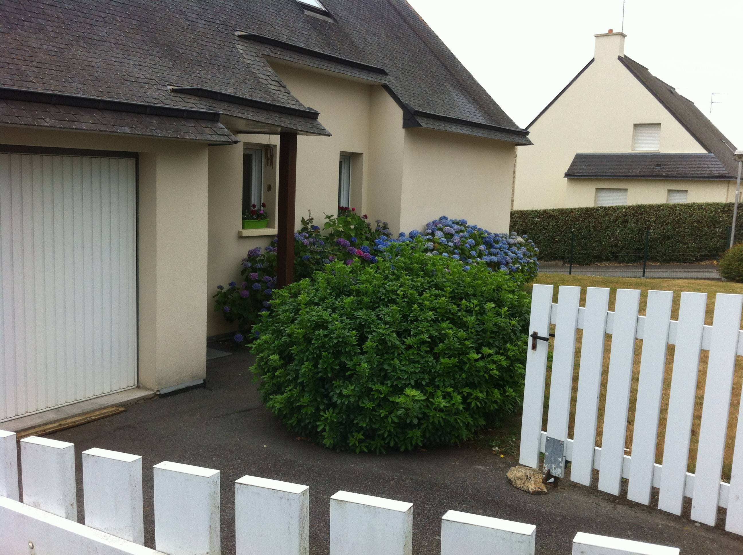 Une photo de l’annonce