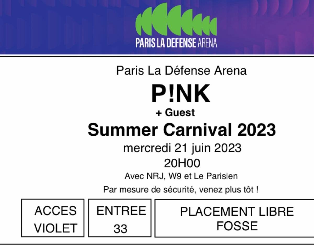 2 places à vendre pour le concert de Pink à Paris sur Gens de Confiance