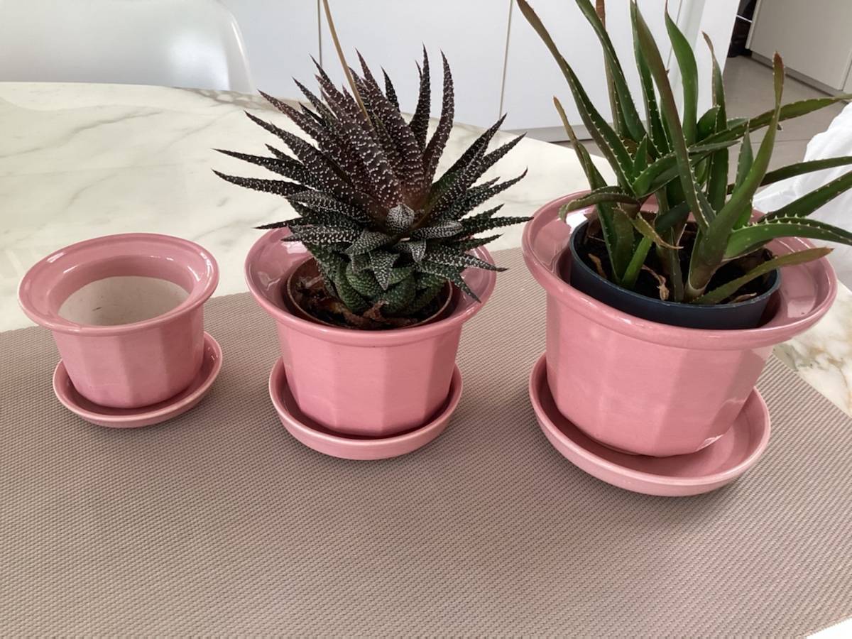 3 pots à plantes avec soucoupe