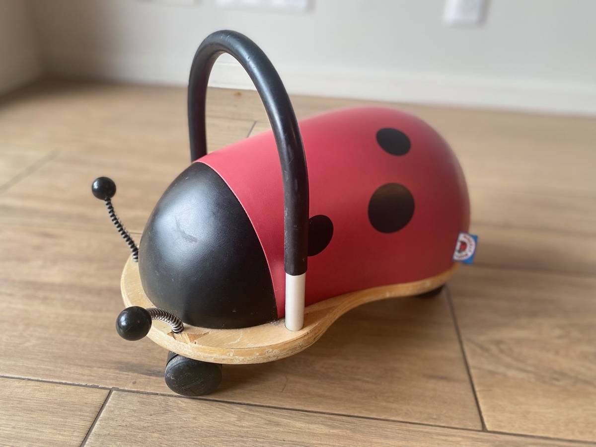 Porteur coccinelle sale