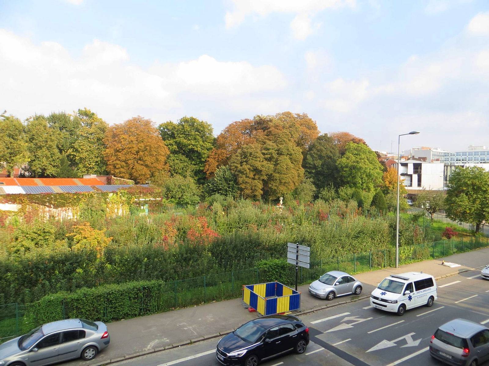 Une photo de l’annonce