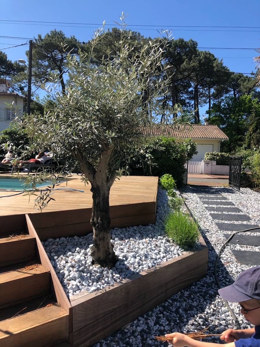 Une photo de l’annonce