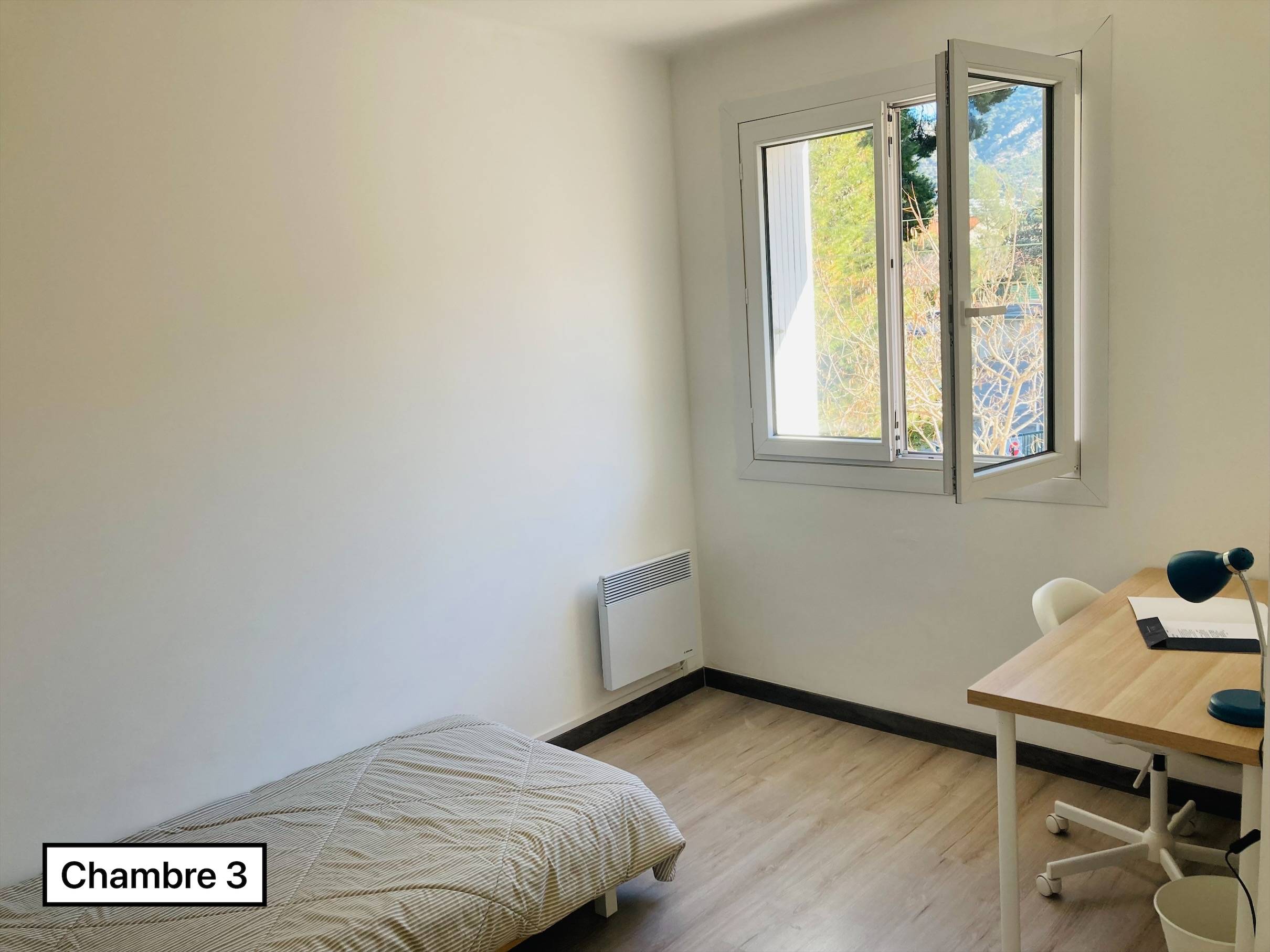 Une photo de l’annonce