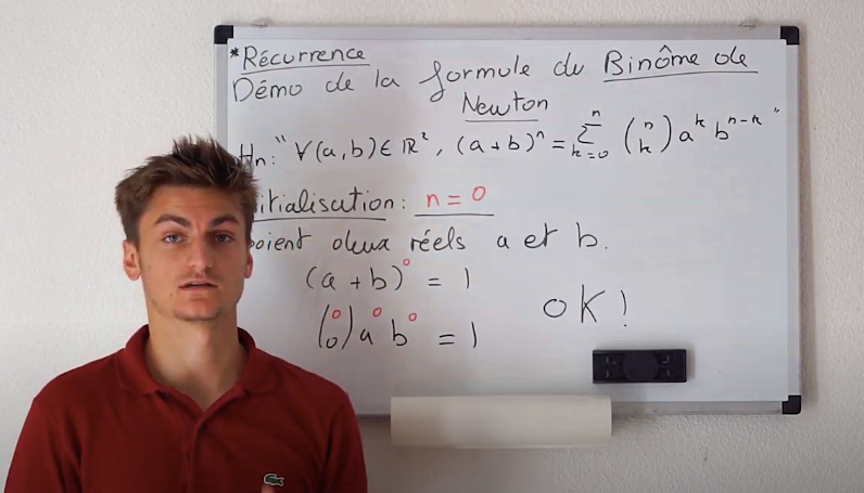Centralien Propose cours de maths/physique/chimie/anglais Collège à Bac+2