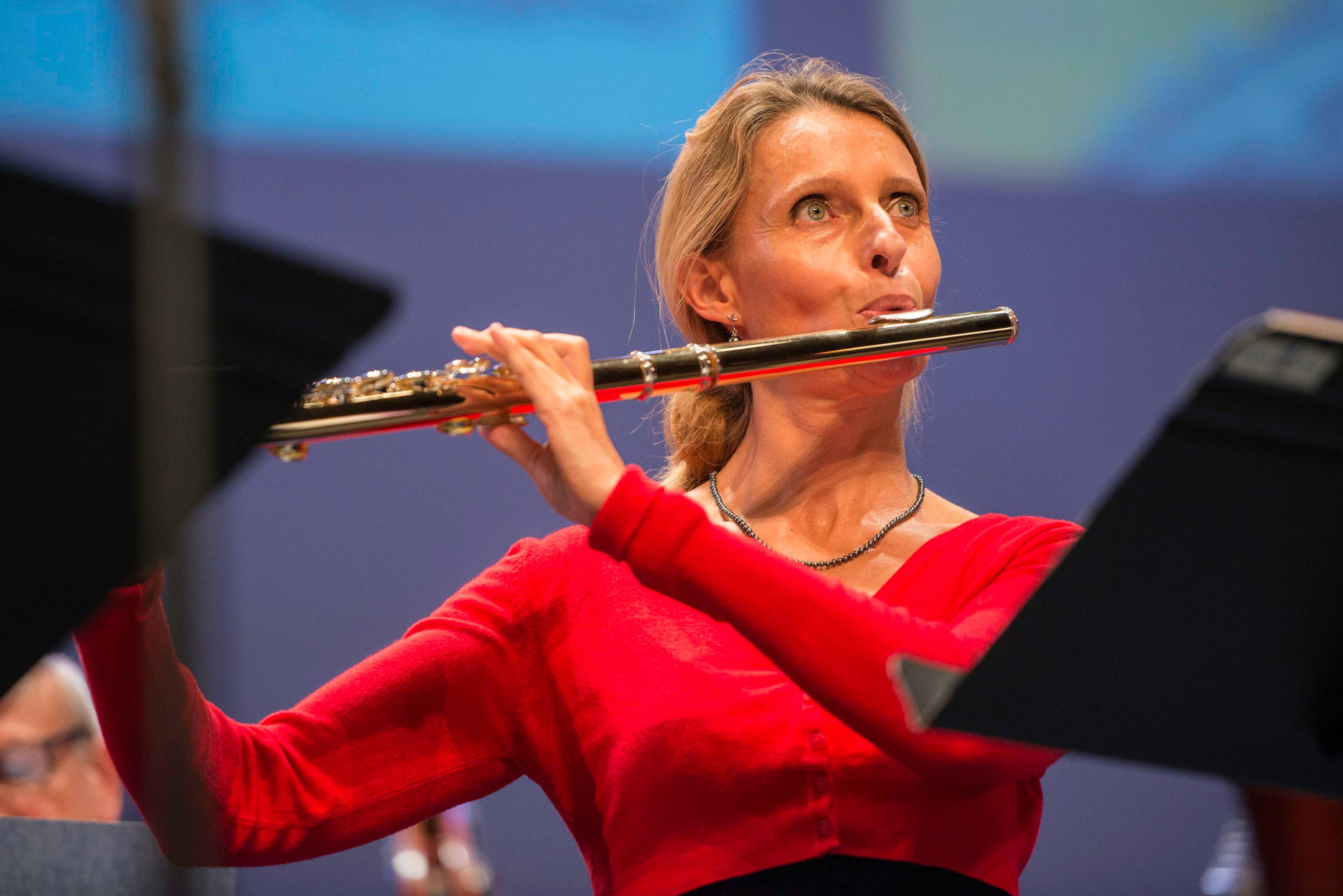 Propose cours particulier Flute traversière ou traverso baroque