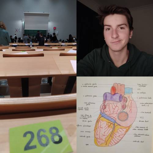 Propose cours particuliers de Physique-chimie / Mathématique / SVT pour collège et lycée
