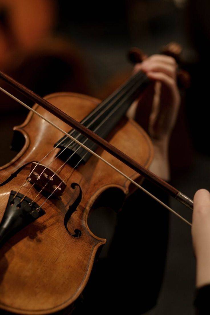 Propose cours de violon et solfège à Paris intra-muros