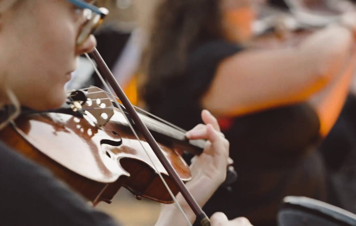 Propose cours de violon pour tous niveaux