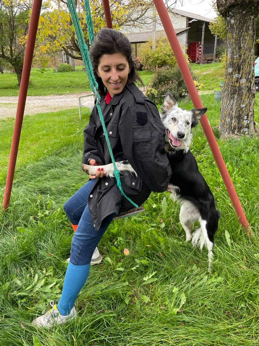 Propose garde de chiens