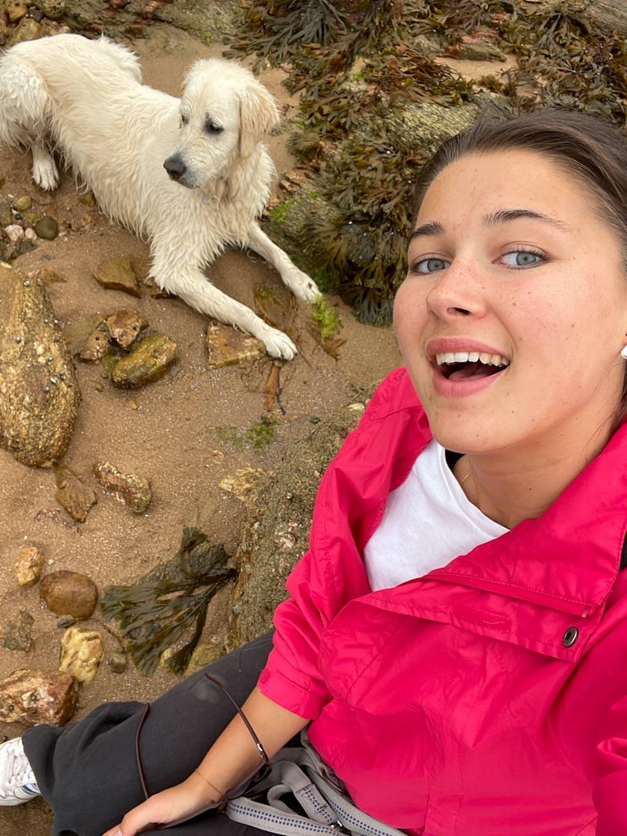 Propose de garder vos animaux en petsitting