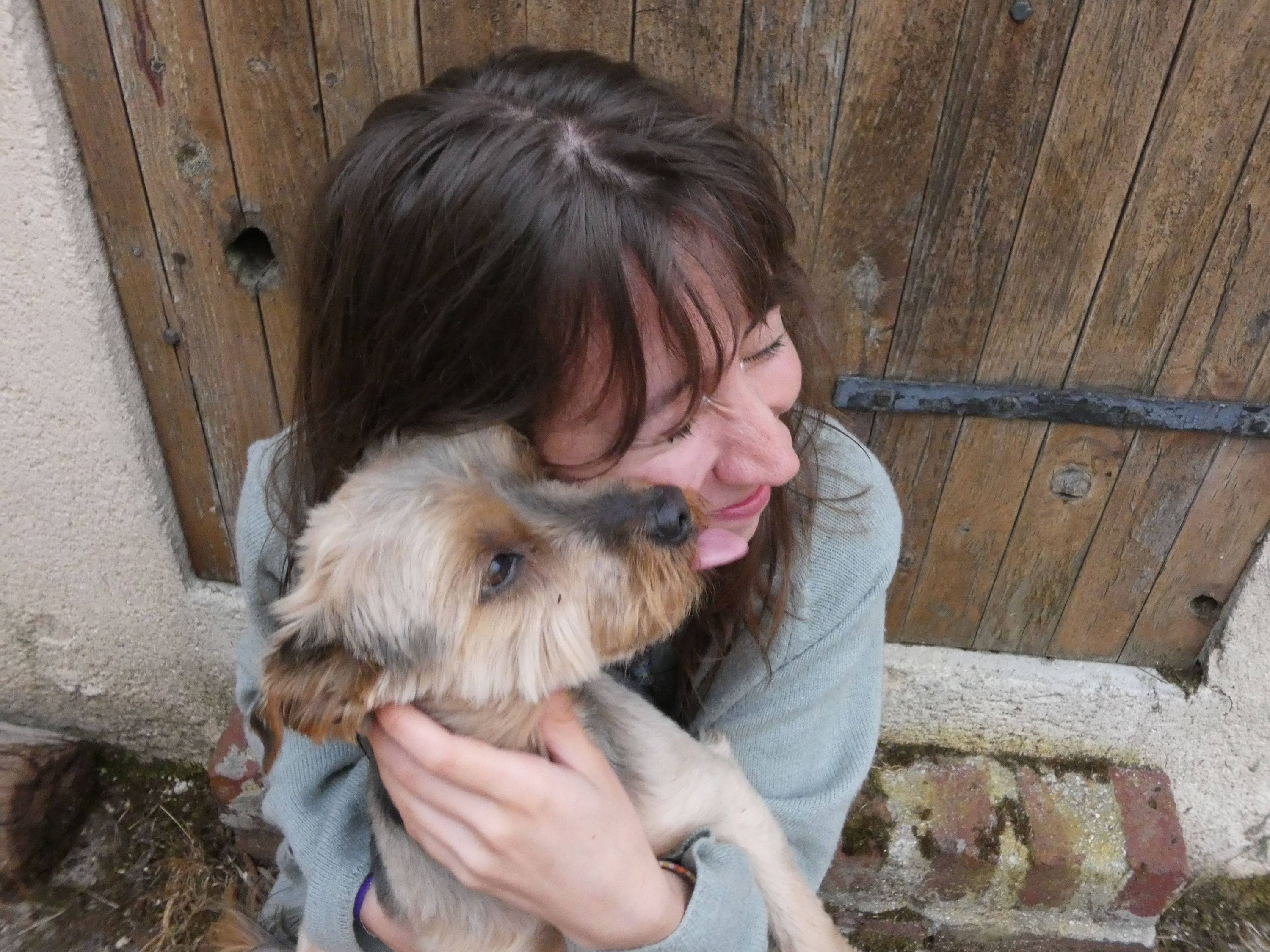 Propose petsitting