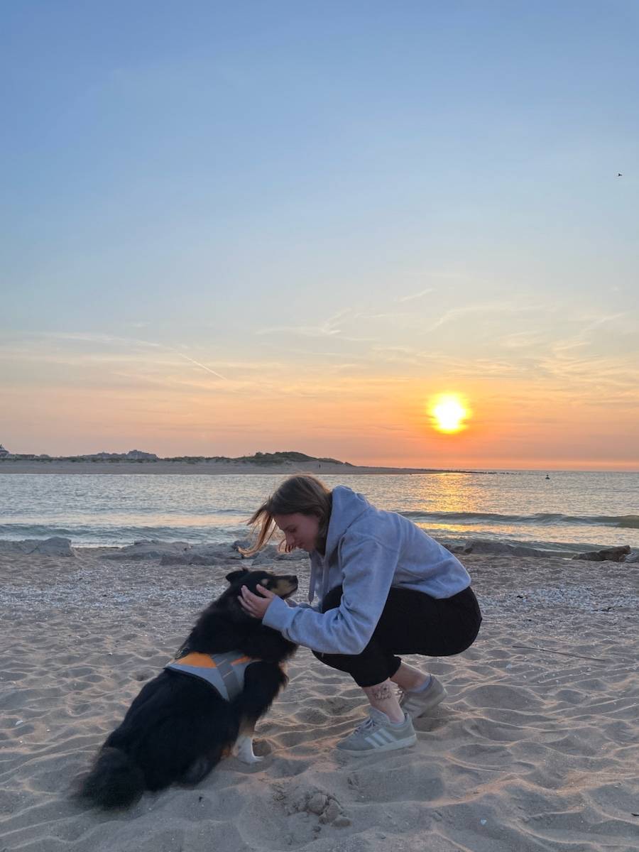 Propose promenade animaux Paris et Yvelines