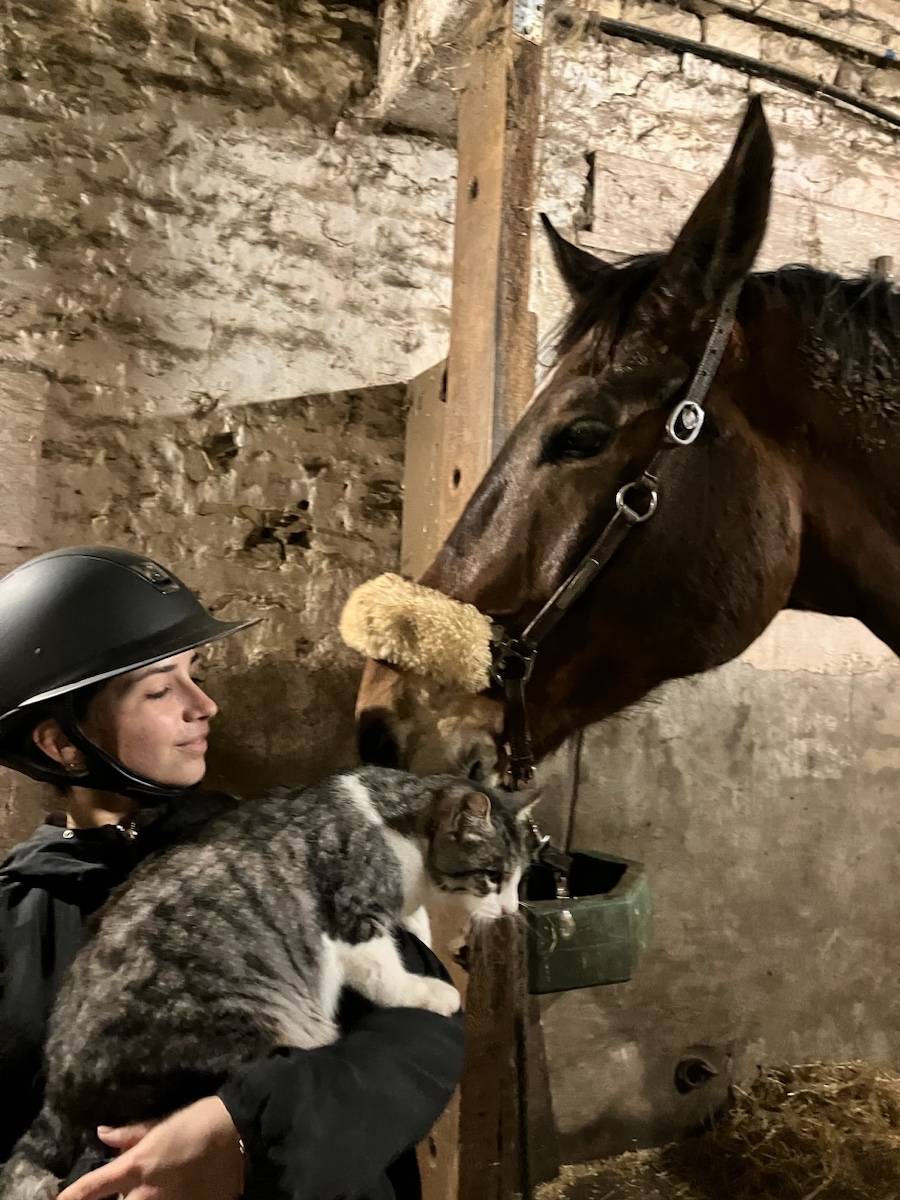 Propose promenade et garde de chiens et chats sur Poitiers