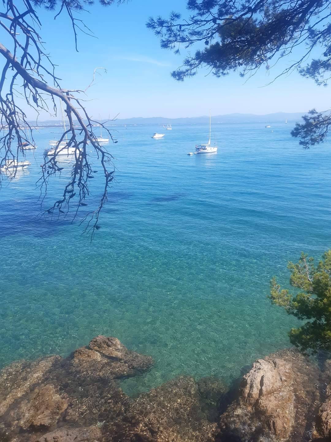 Propose mes services (conciergerie haute gamme programme sur mesure