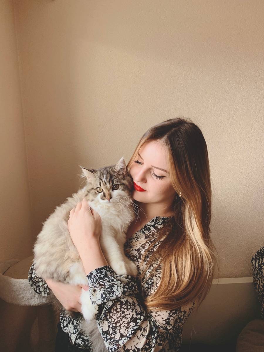 Propose services CatSitter/ Garde chats 🐱