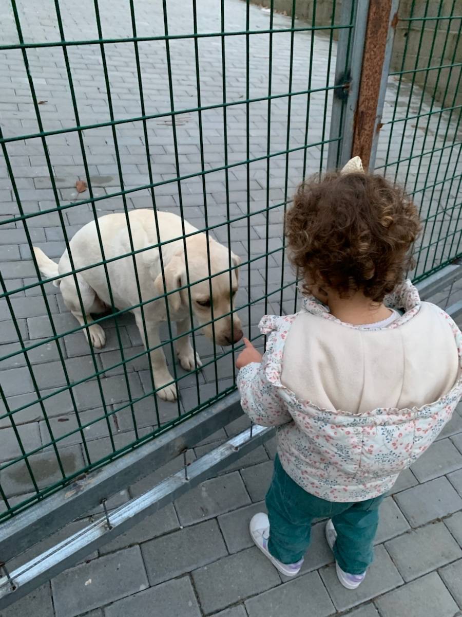 Je propose mes services pour garder vos enfants