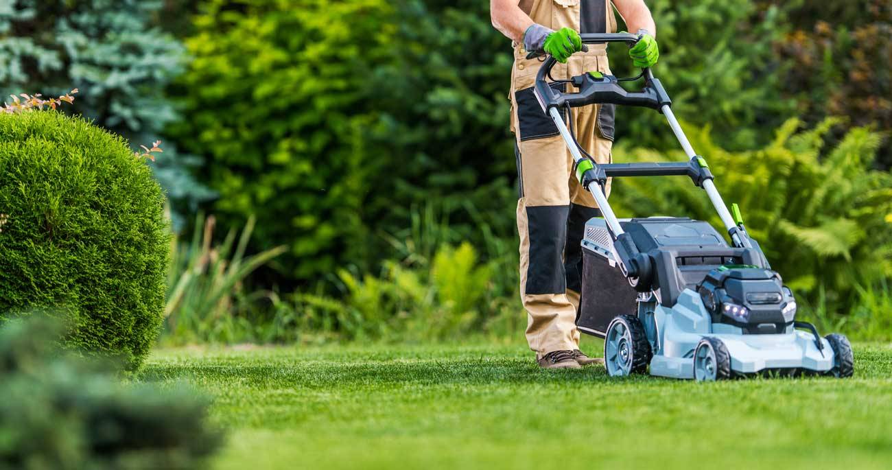 Propose services en jardinage et bricolage