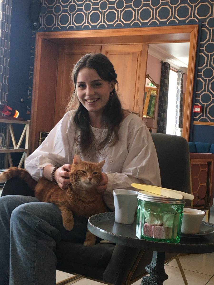 Propose cat sitting à Paris